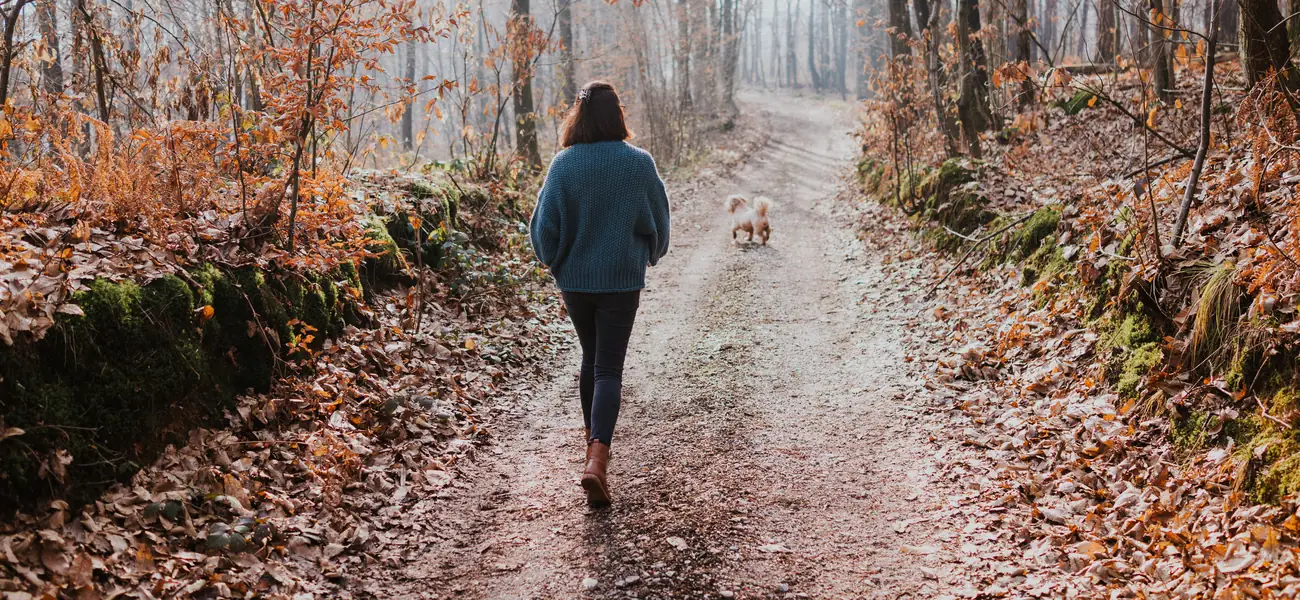 Woman walking her dog along a misty forest path in autumn
